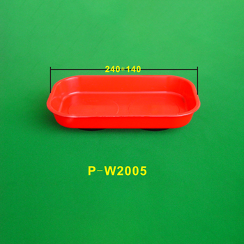 P-W2005